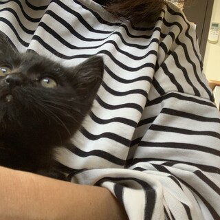 生後2ヶ月　可愛い女の子