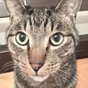 どどどアップ‼︎