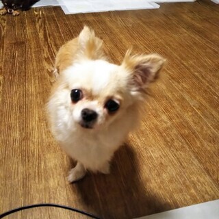 素敵なご縁を頂きました☺️