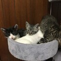 元気いっぱい