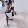 うちのチャイチー❤️むーちょクンです