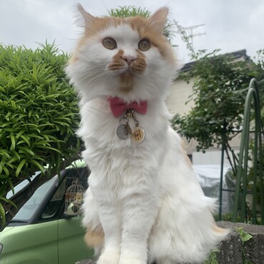 の写真