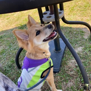 びびりっこ な女の子