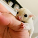 相談中の為、募集停止します。