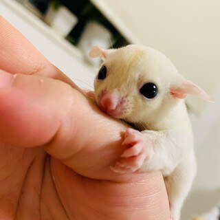 相談中の為、募集停止します。