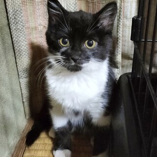 愉快痛快★期待以上のリアクション芸