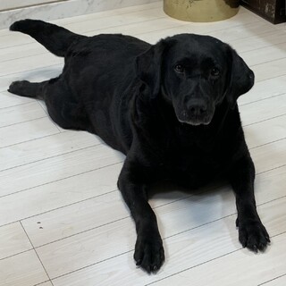 ☆❣️家族が決まりました❣️☆