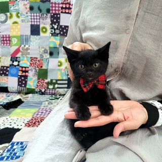 仔熊さん？　まんまるお顔の男の子