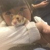 purin.kiho