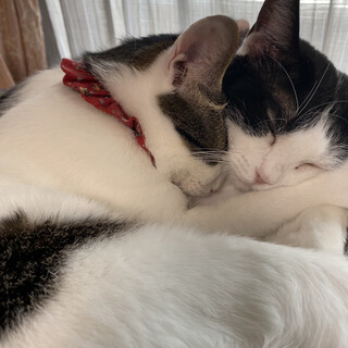 娘と仲良しのおっとりお母さん♡