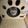 やまもっちゃ