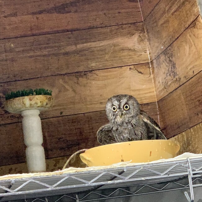 木辺 華(きべ はんな)のカバー写真