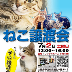 第4回ねこ譲渡会@守口市