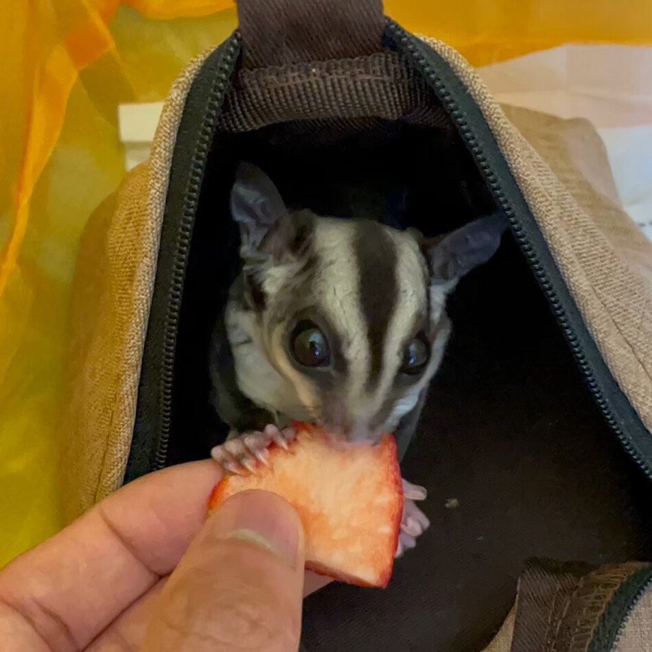 くろまめのカバー写真