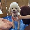 ほっぺ