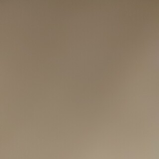 イタリアングレーハウンド。2歳。女の子。