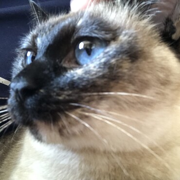 の写真
