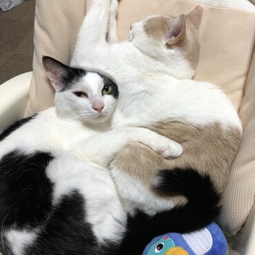 の写真