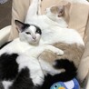 の写真