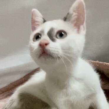 の写真