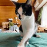 の写真