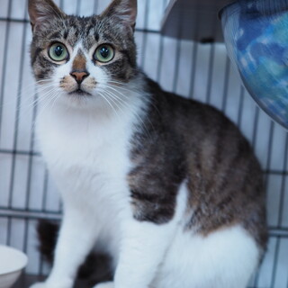 天真爛漫⭐︎レモンくん⭐︎