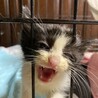 人が大好き甘えん坊 サムネイル2