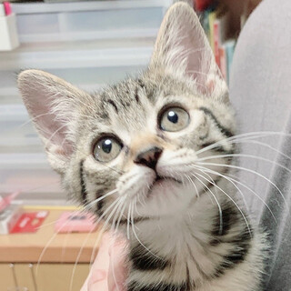 こまきちゃん★女子力高めな美人さん