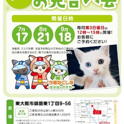 保護猫たちのお見合い会こねこまつり