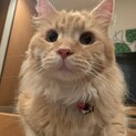 ☆超甘えん坊の未来（みくる）くん☆