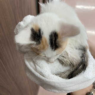 募集終了しました