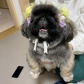 パワフルなアンジュくん✩