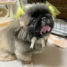 パワフルなアンジュくん✩ サムネイル4