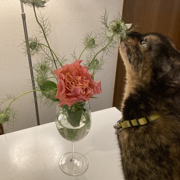 の写真