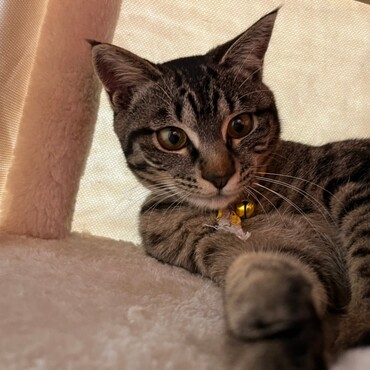 の写真