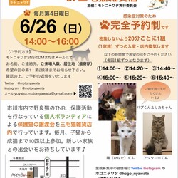 6/26（日）保護ねこ譲渡会@三毛猫雑貨店