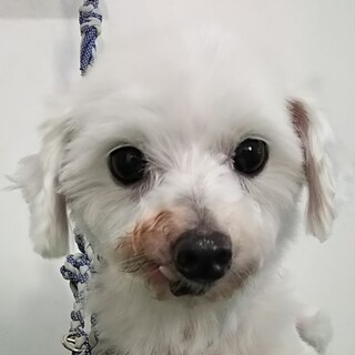 大人しくて愛らしい女の子♪