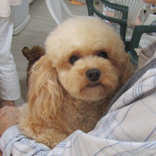 可愛いお顔の男の子２歳