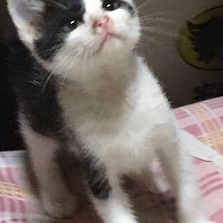 とっても甘えん坊の男の子