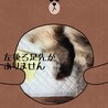 ブルーアイ　シャムMIXの大福くん サムネイル6