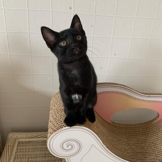 甘ったれの男の子♡メロメロ間違いなし♡