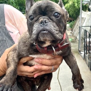 21-W885　元気印！！フレブル女子♪