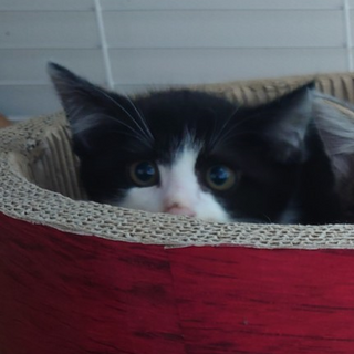 ありがとうございました！