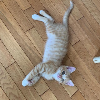 元気でお転婆な女の子♡