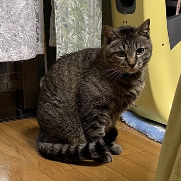 テンくん、初めましてボクは天兄さんだよ… ε=ε=ε=ε=ε=ε=┌(;￣◇￣)┘