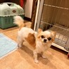 メンマ サムネイル2