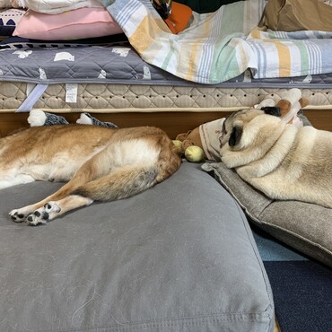 最近の2人