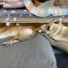 最近の2人