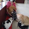 おーま