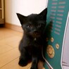 【くろまる】しっかり者の甘えたボーイ サムネイル2